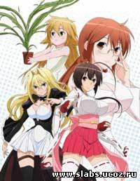Смотреть онлайн Sekirei / Сэкирэй [RUS] [Первый сезон]